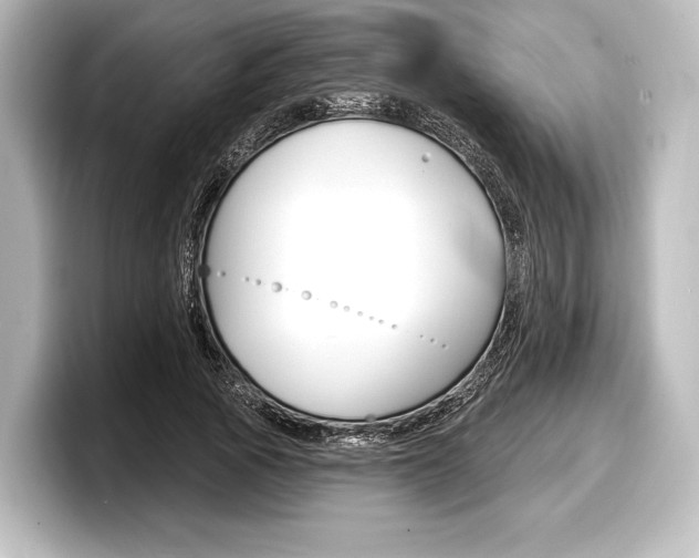 X0000098170737200804241009