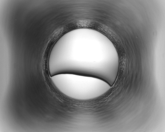 X0000098170738200804241009