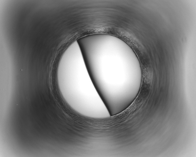 X0000098170740200804241009