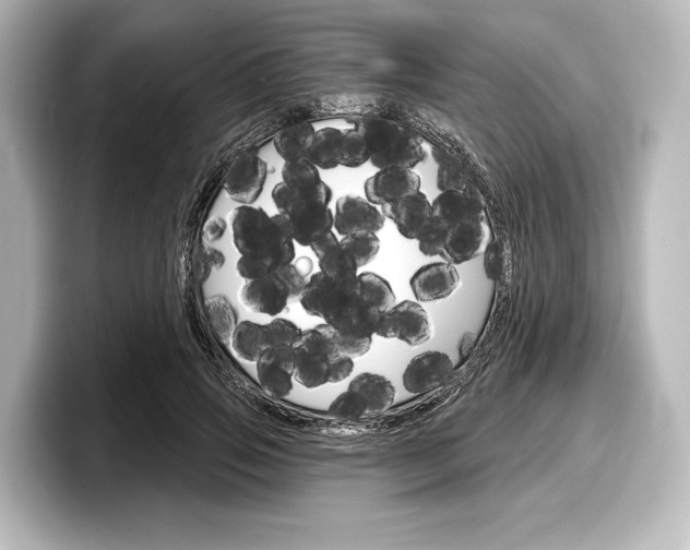 X0000098170741200804241009