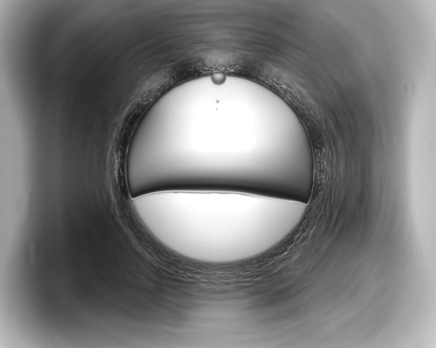 X0000098170742200804241009