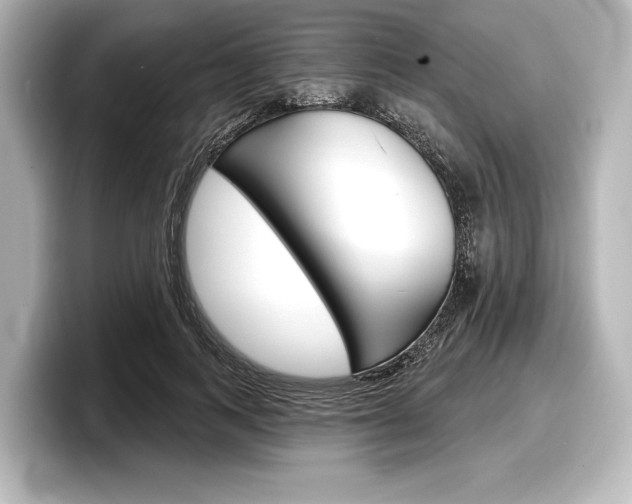 X0000098170743200804241009