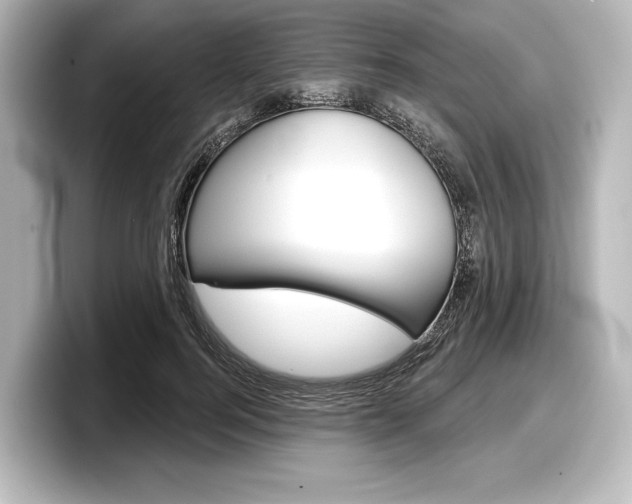 X0000098170744200804241009