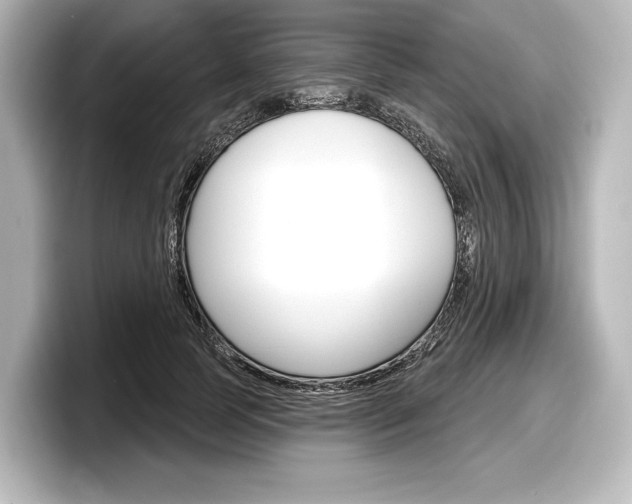 X0000098170745200804241009