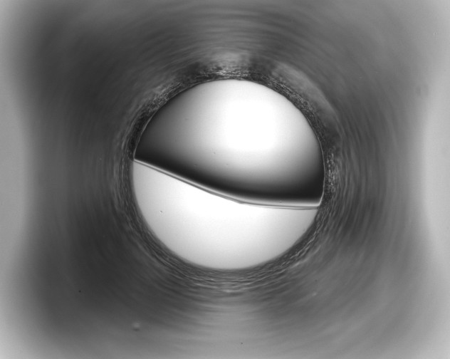 X0000098170748200804241009