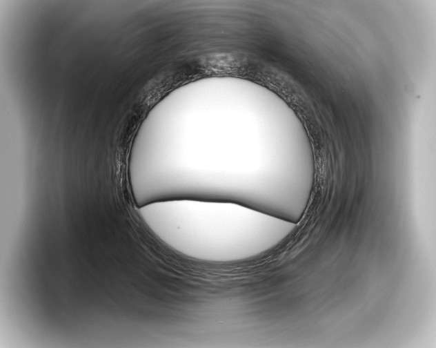 X0000098170749200804241009