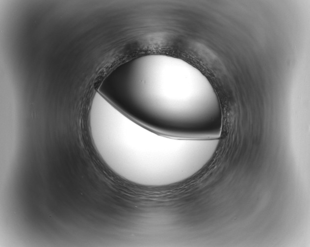 X0000098170750200804241009