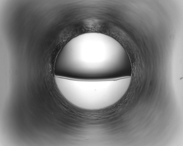 X0000098170752200804241009