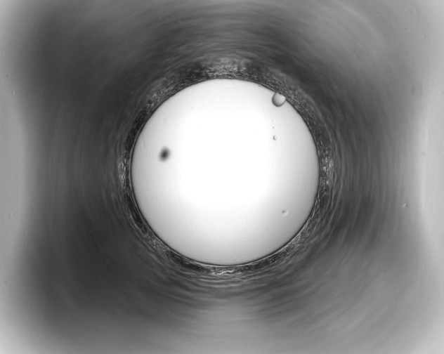 X0000098170753200804241009