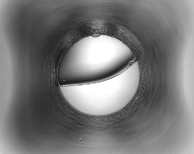 X0000098170756200804241009
