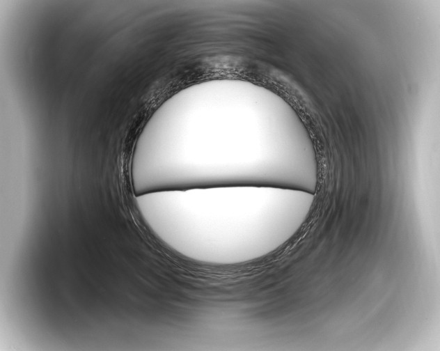 X0000098170757200804241009