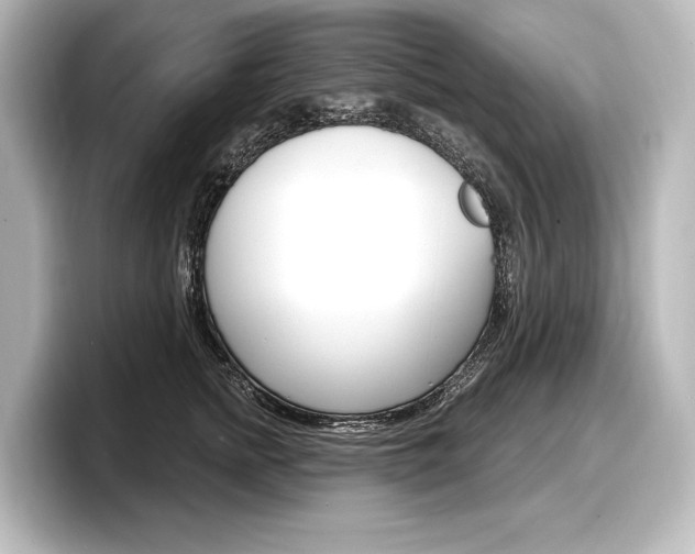 X0000098170758200804241009