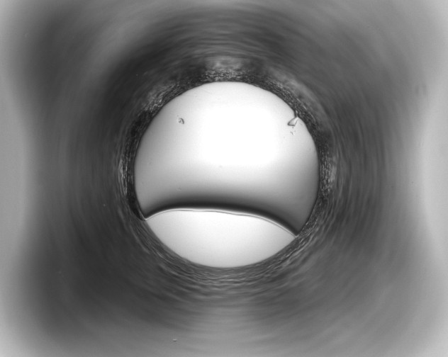 X0000098170759200804241009
