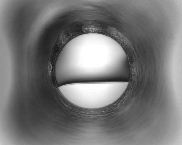 X0000098170760200804241009