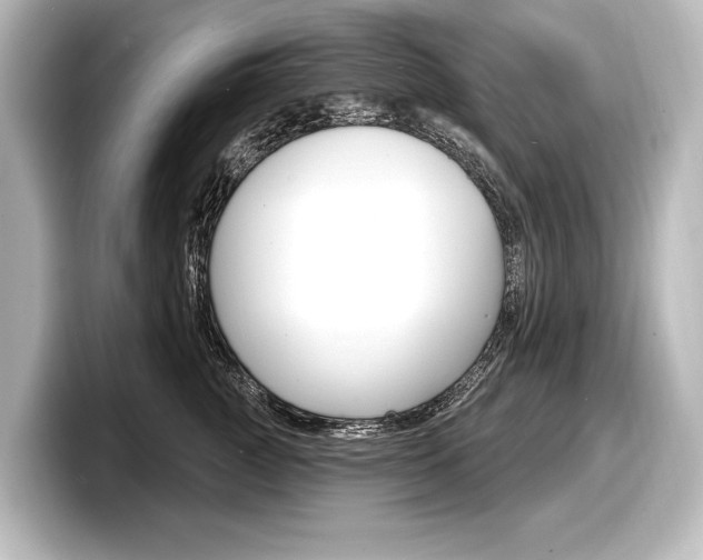 X0000098170761200804241009