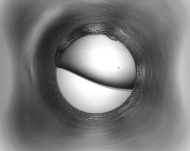 X0000098170762200804241009