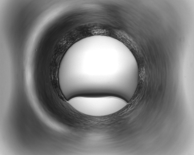 X0000098170763200804241009
