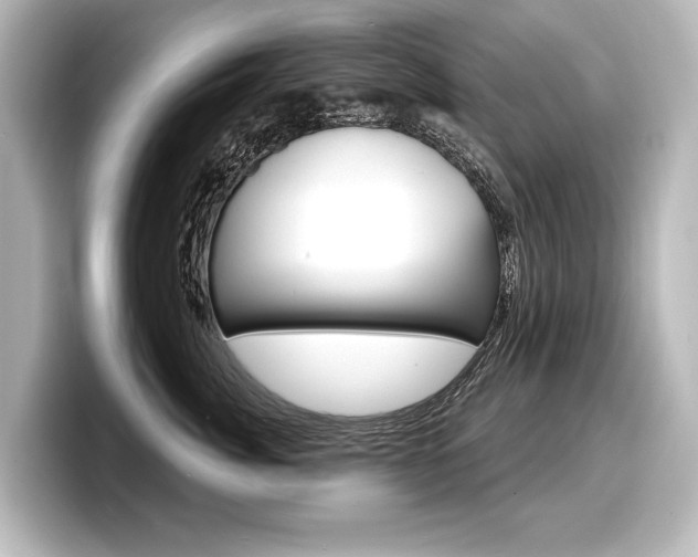X0000098170764200804241009