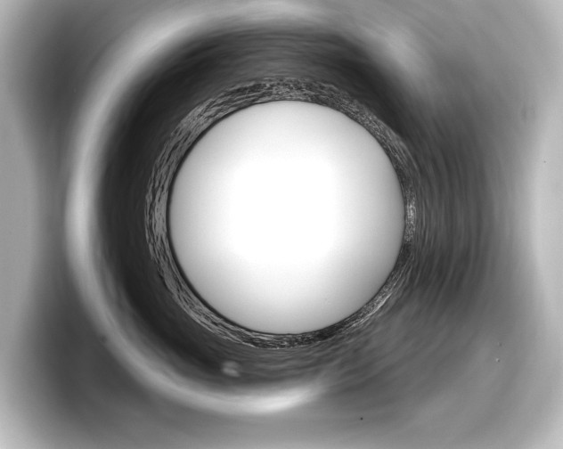 X0000098170765200804241009