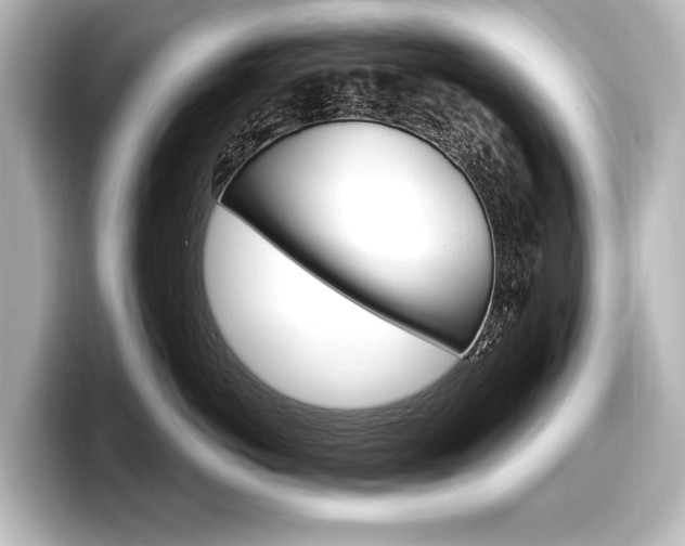 X0000098170766200804241009