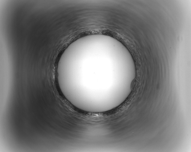 X0000098170768200804241009