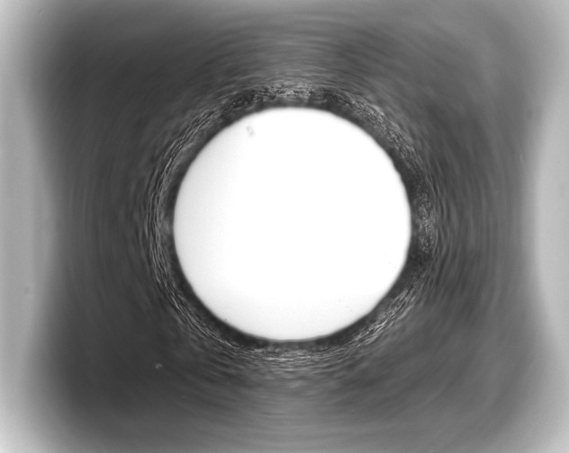 X0000098170769200804241009