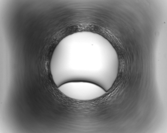 X0000098170770200804241009