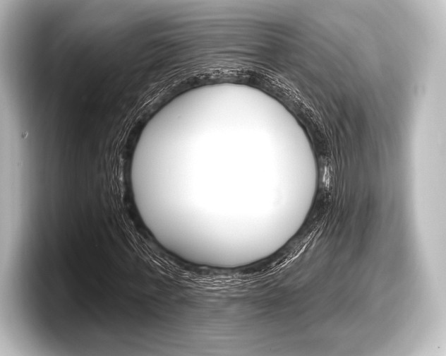 X0000098170771200804241009