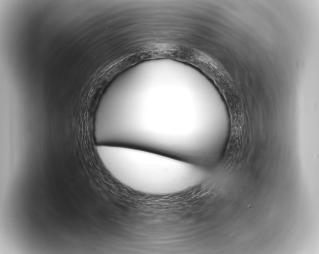 X0000098170773200804241009