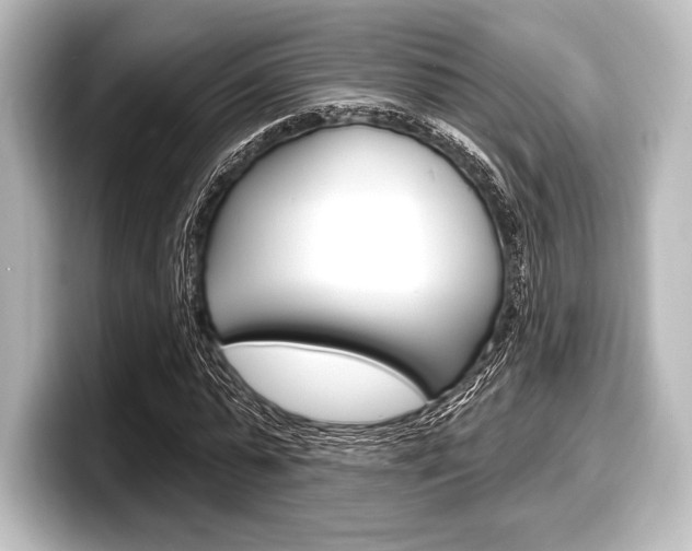 X0000098170775200804241009