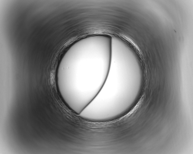 X0000098170777200804241009
