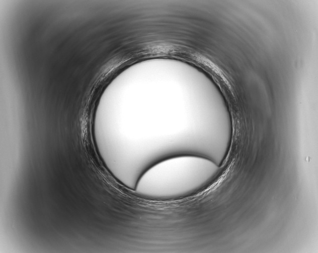 X0000098170778200804241009