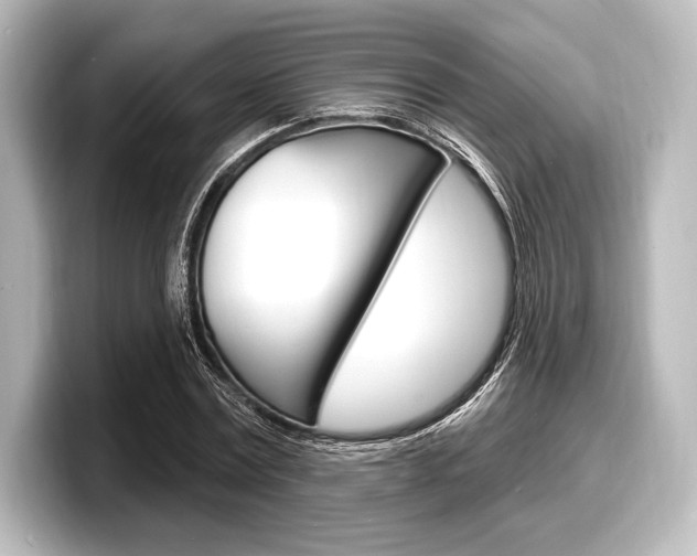 X0000098170779200804241009