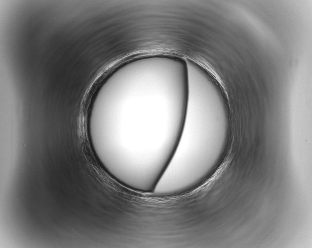 X0000098170781200804241009