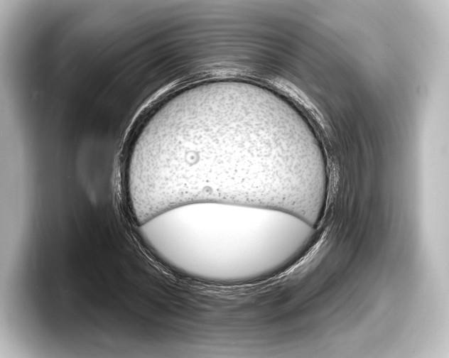 X0000098170782200804241008