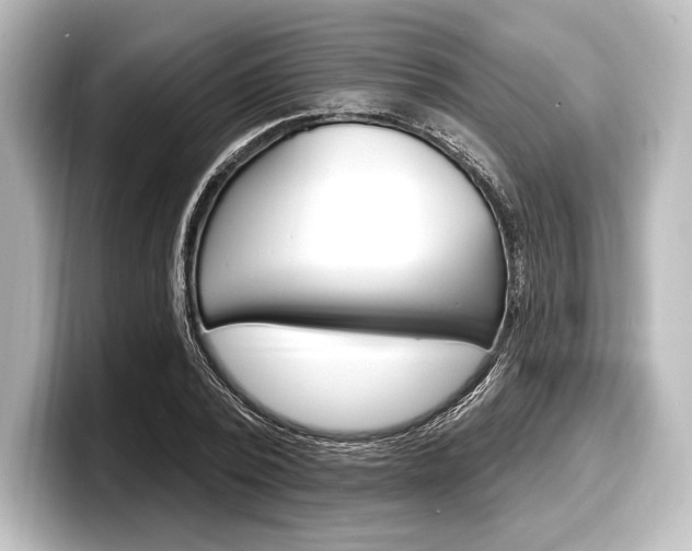 X0000098170784200804241008