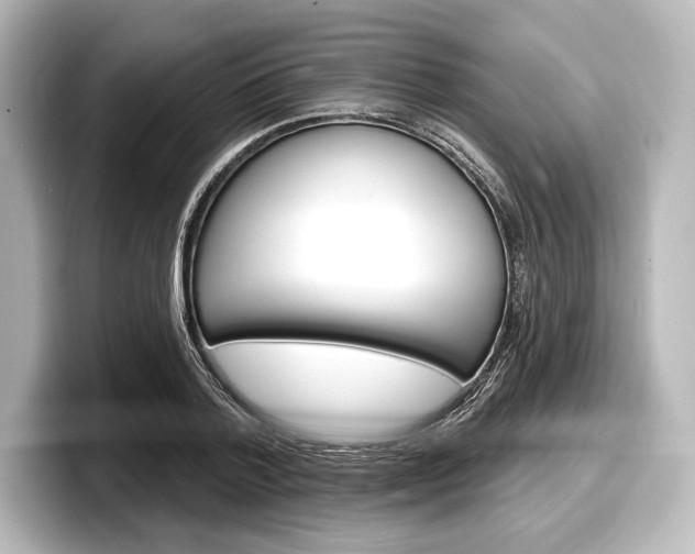 X0000098170788200804241008