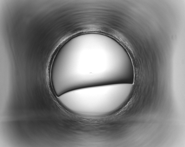 X0000098170789200804241008