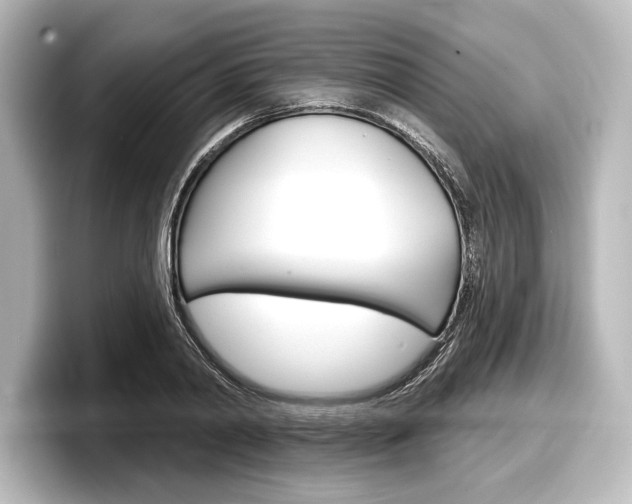 X0000098170790200804241008