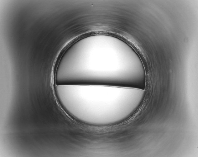 X0000098170791200804241008