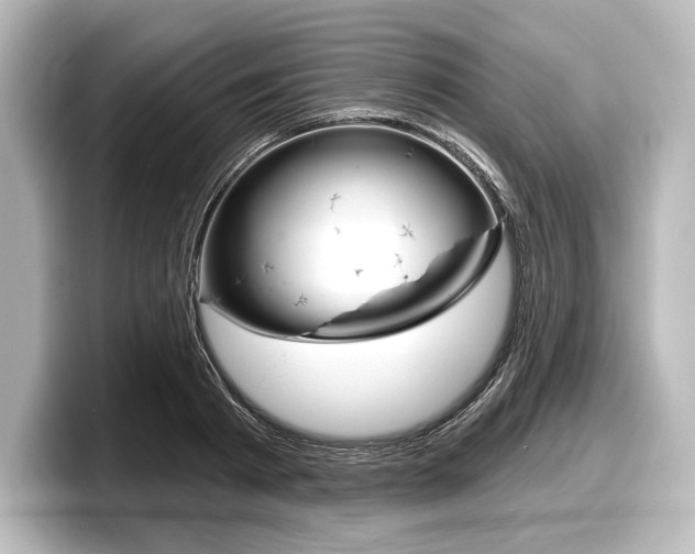 X0000098170793200804241008