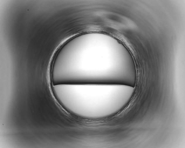 X0000098170795200804241008