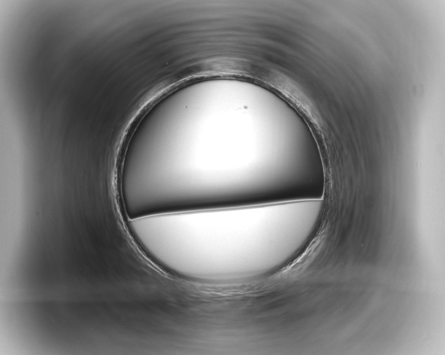 X0000098170797200804241008