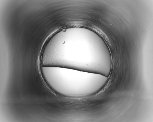 X0000098170798200804241008