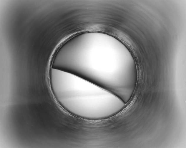 X0000098170800200804241008