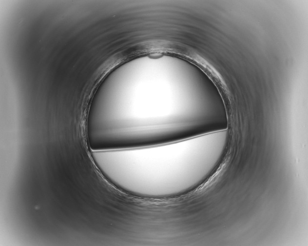 X0000098170801200804241008