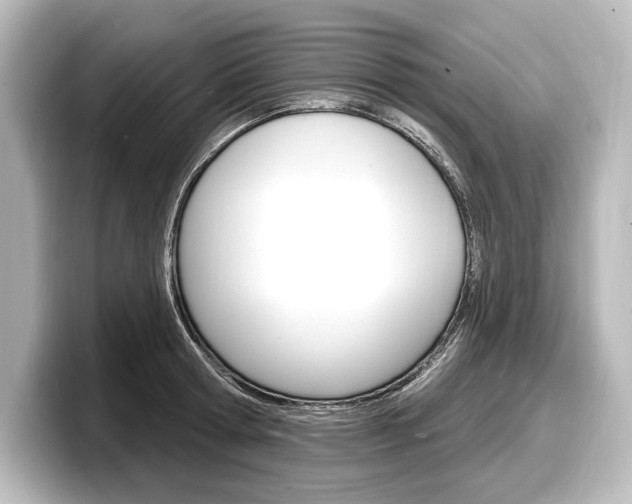 X0000098170802200804241008