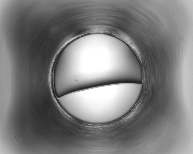 X0000098170803200804241008