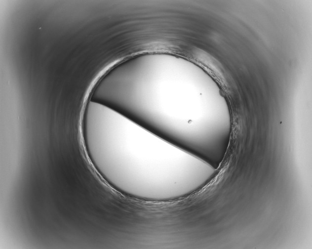 X0000098170804200804241008