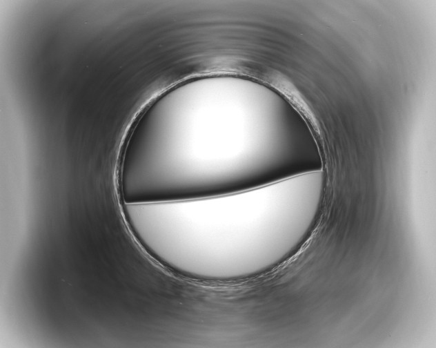 X0000098170805200804241008